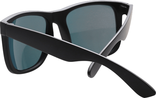Sonnenbrille Erwachsene schwarz SUNDANCE