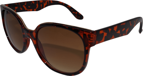 Sonnenbrille Erwachsene Big Shape mit braun getönten Scheiben SUNDANCE