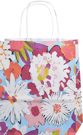 Kesa za pakovanje poklona midi - reciklirana, više vrsta Profissimo