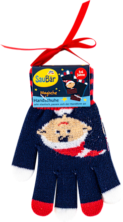 Zauberhandschuhe Wichtel SauBär