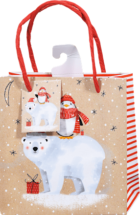 Poklon vrećica Mini, više vrsta Profissimo