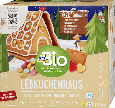 Kit casa din turta dulce dmBio