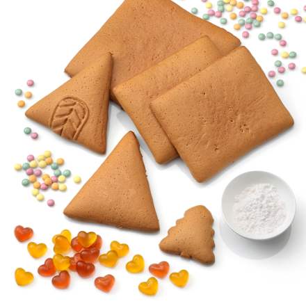 Kit casa din turta dulce dmBio