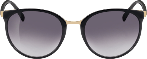 Sonnenbrille Damen schwarz mit goldenen Metalldetails SUNDANCE