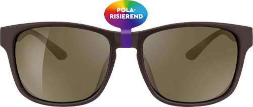 Мъжки слънчеви очила, тъмнокафяви, матови, поляризирани sundance