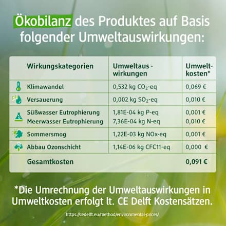 Detersivo per piatti ultra nature Pro Climate Denkmit
