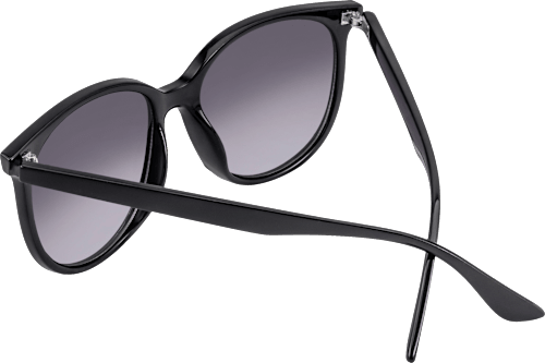 Sonnenbrille Erwachsene schwarz mit getönten Gläsern SUNDANCE