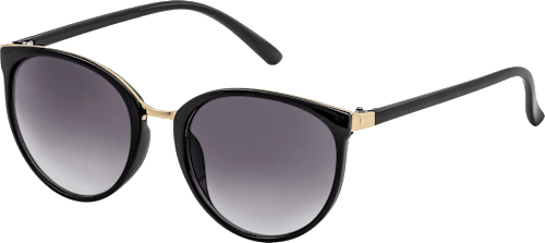 Sonnenbrille Damen schwarz mit goldenen Metalldetails SUNDANCE