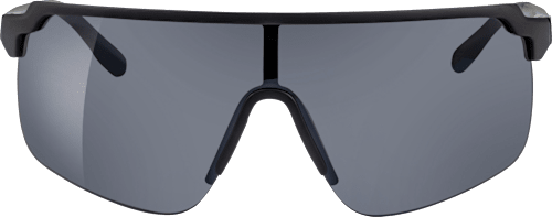 Sonnenbrille Herren schwarz dunkle Gläser SUNDANCE
