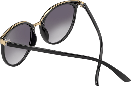 Sonnenbrille Damen schwarz mit goldenen Metalldetails SUNDANCE