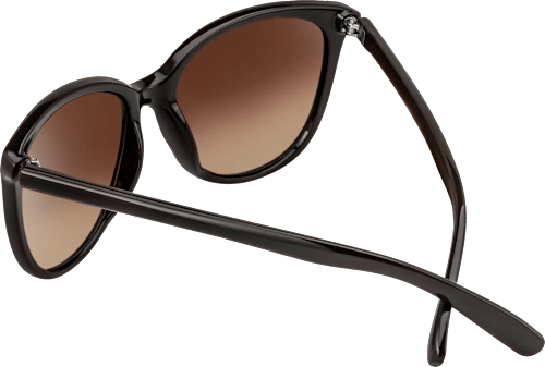 Sonnenbrille Erwachsene schwarz mit braun getönten Gläsern SUNDANCE