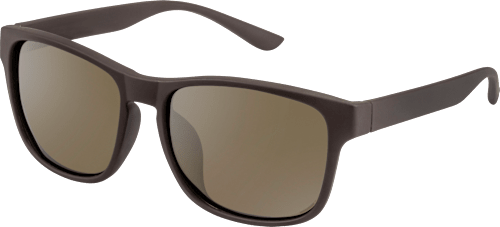 Sonnenbrille Herren dunkelbraun matt polarisierend SUNDANCE