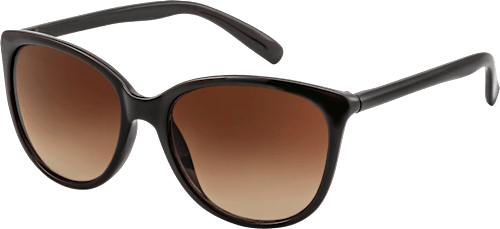 Sonnenbrille Erwachsene schwarz mit braun getönten Gläsern SUNDANCE