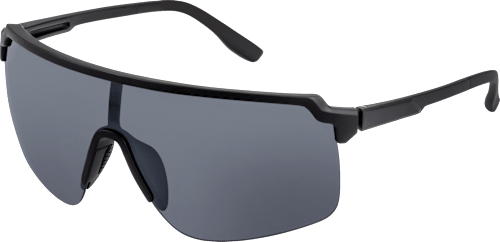 Sonnenbrille Herren schwarz dunkle Gläser SUNDANCE
