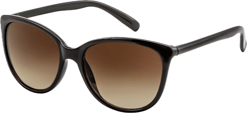 Sončna očala za odrasle, rjava z rjavimi stekli sundance