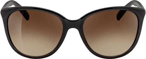 Sončna očala za odrasle, rjava z rjavimi stekli sundance