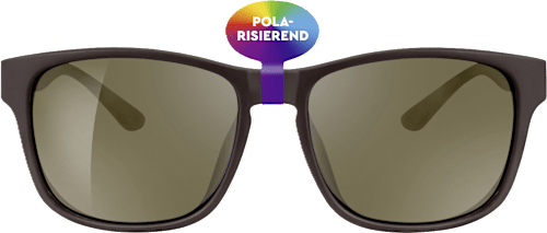 Sončna očala za odrasle, rjava z rjavimi stekli sundance