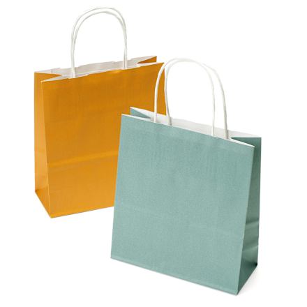 Geschenktaschen Midi Recycling 2er Set Uni Profissimo