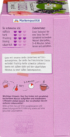 Bio sadni čaj z okusom francoskega črnega ribeza (20 x 2 g) dmBio