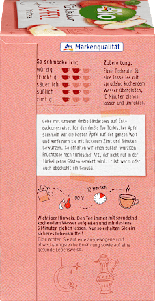 Bio sadni čaj z začimbami (20 x 2 g) dmBio