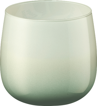 Duftkerze im Glas Sunny Cactus Profissimo