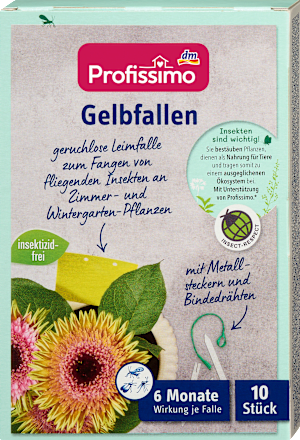 ProfissimoGelbfallen, 10 St