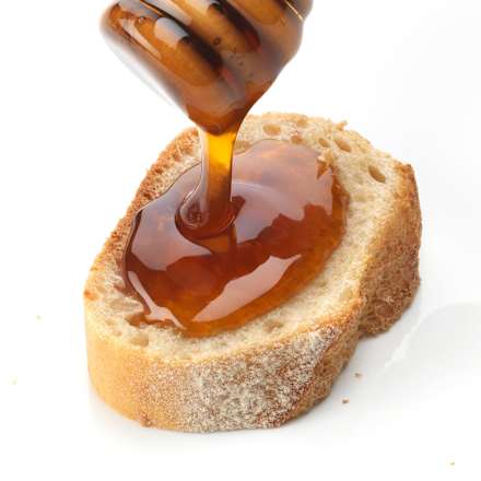 bio medovicový med dmBio