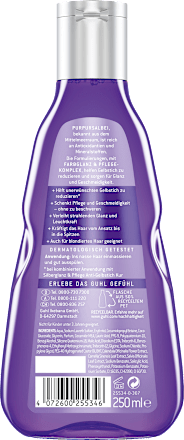 Shampoo Silberglanz & Pflege GUHL