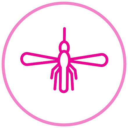 Insektenschutzspray Family EMCUR