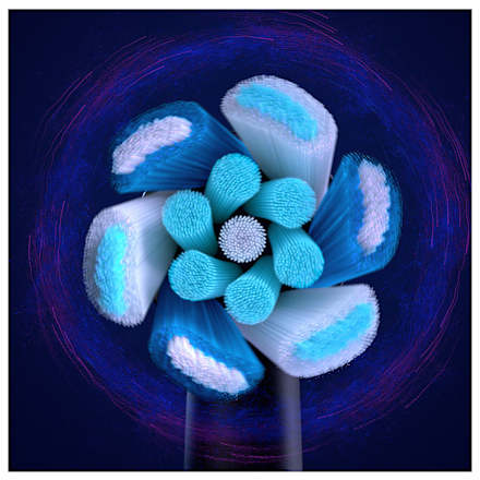 Aufsteckbürsten iO Ultimative Reinigung schwarz Oral-B