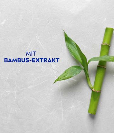 Volumen & Kraft Pflegeshampoo NIVEA