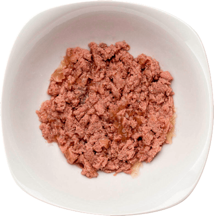 Nassfutter Katze, Probierbox, Multipack (8x100 g) Wildes Land