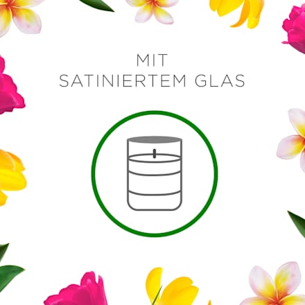 Duftkerze im Glas Blumenwiese AIR WICK