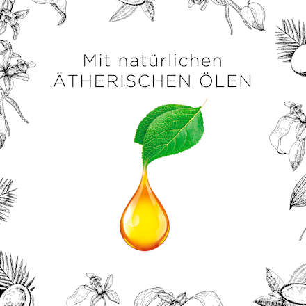 Duftkerze im Glas Vanilleschote & Kokosnuss 220g AirWick