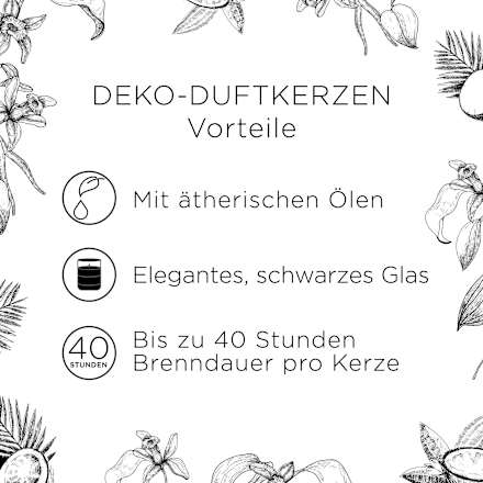 Duftkerze im Glas Vanilleschote & Kokosnuss 220g AirWick