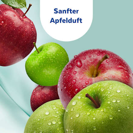 Handdesinfektionsschaum, Reisegröße Sagrotan