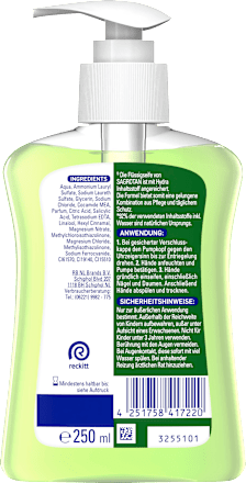 Flüssigseife Green Tea & Citrus Summer Nights, Hydra Care Sagrotan