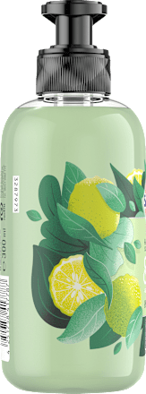 Flüssigseife grüner Tee Sagrotan