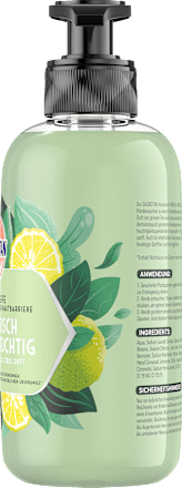 Flüssigseife grüner Tee Sagrotan
