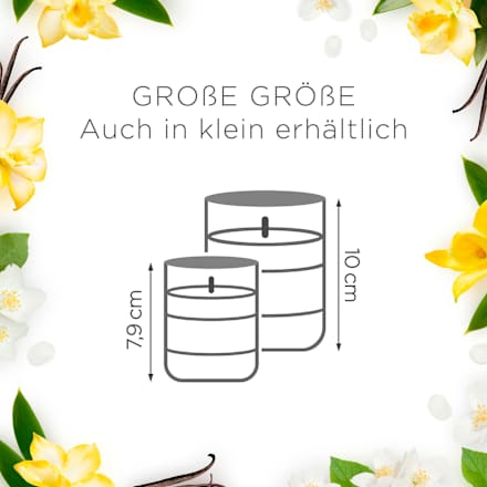 Duftkerze im Glas Sweet Vanilla Magic 220g AirWick