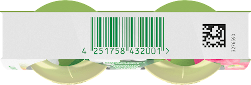 Lufterfrischer Duftstecker Blooming Garden Nachfüllpack (2x19 ml) AirWick