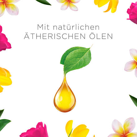 Duftkerze im Glas Blumenwiese AirWick