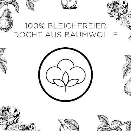 Duftkerze im Glas Pfingstrose & Anjou-Birne 220g AirWick