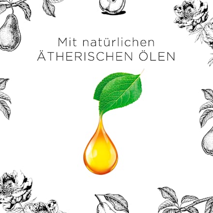 Duftkerze im Glas Pfingstrose & Anjou-Birne 220g AirWick