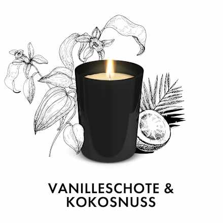 Duftkerze im Glas Vanilleschote & Kokosnuss 220g AirWick