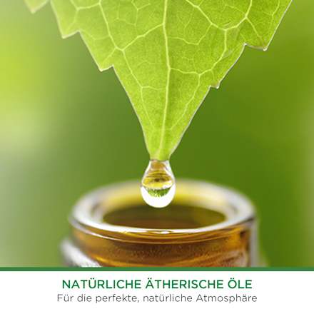 Lufterfrischer Freshmatic Duo Cotton & weißer Flieder Nachfüllpack (2x250 ml)  AirWick