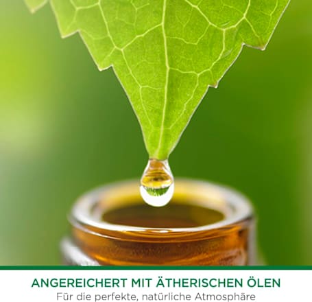 Lufterfrischer Freshmatic Feel Comfy Coconut & Orange AirWick