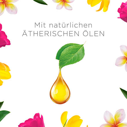 Duftkerze im Glas Blumenwiese 105g AirWick