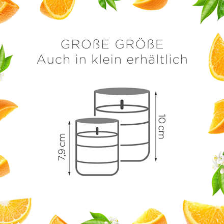 Duftkerze im Glas Citrus 105 g AirWick