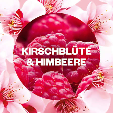 Duftöl Nachfüller Kirschblüte & Himbeere AirWick